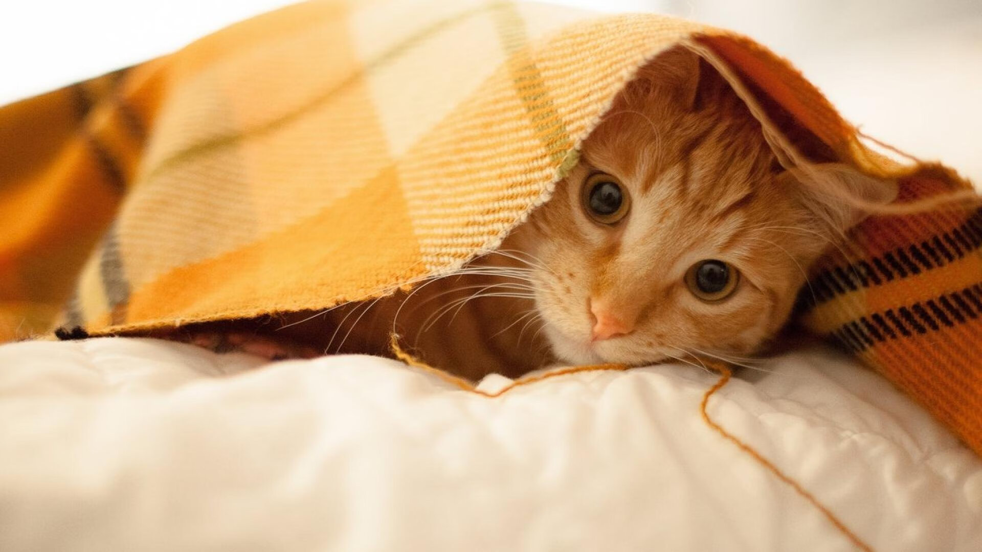 德赢体育app下载安装官方正版-最险峻的弯道排名TOP5，最危险的道路