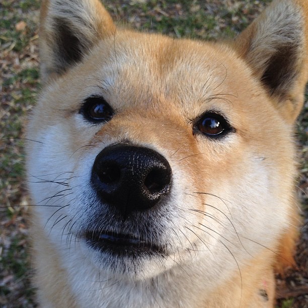 vwin在线登录-津津乐道：最具话题性的战术创新盘点，讨论战术的句子