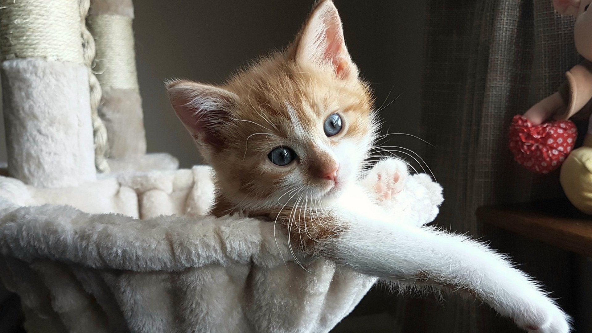 糖果传奇全国消除大赛，甜蜜欢乐无限延续，糖果传奇最新版本官网