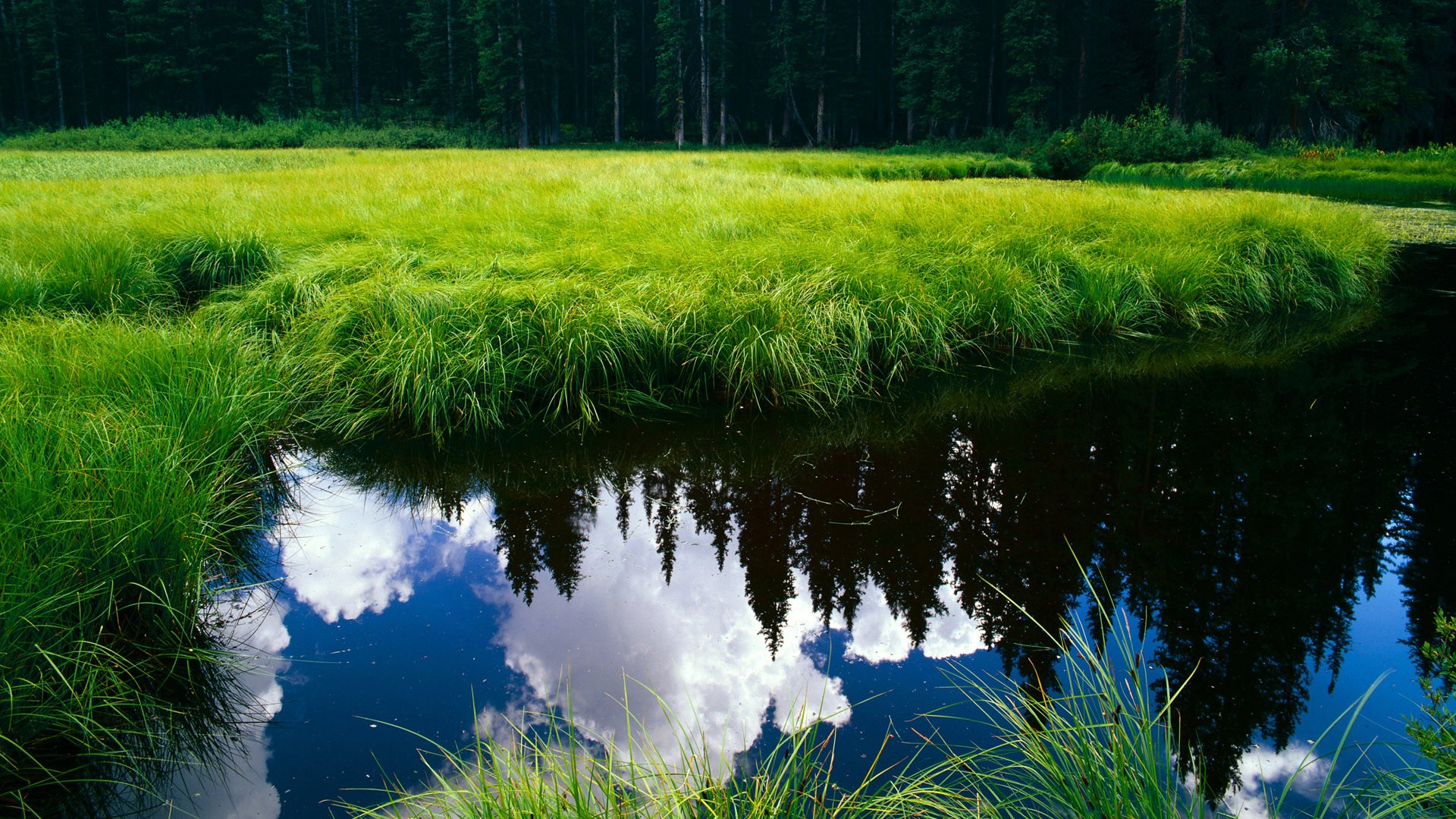 德赢vwin首页(官方)网站下载安装-雷暴中的挑战：天公不作美的比赛瞬间，天公不作美什么意思下一句