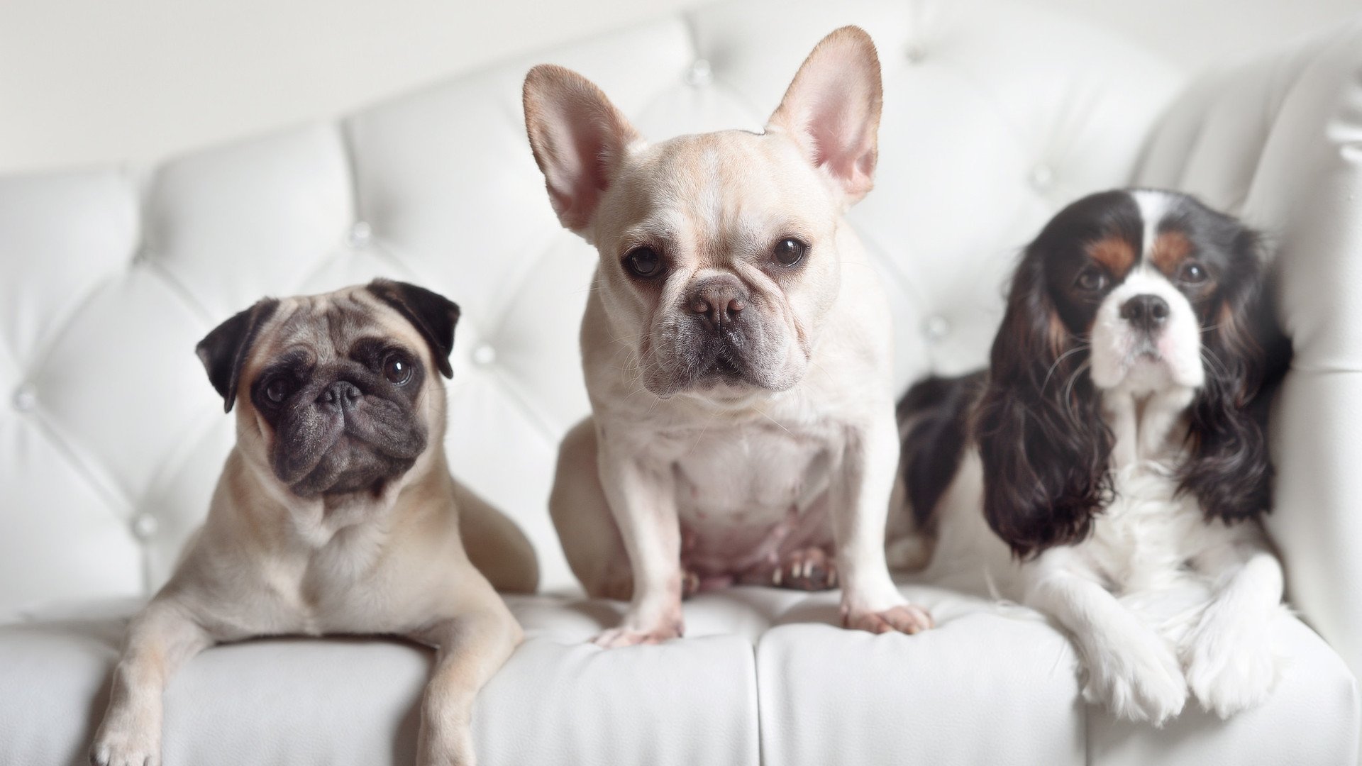 德赢app官网在线登录-Gen.G赛事品牌价值持续增长，品牌赛事的意义