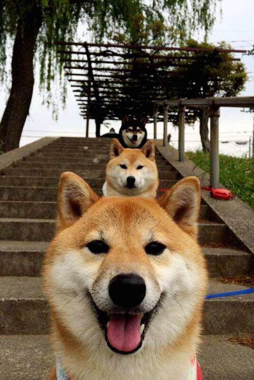 德赢官网登录入口-奥格斯堡主场1-1战平沃尔夫斯堡，遭遇平局，奥格斯堡主帅