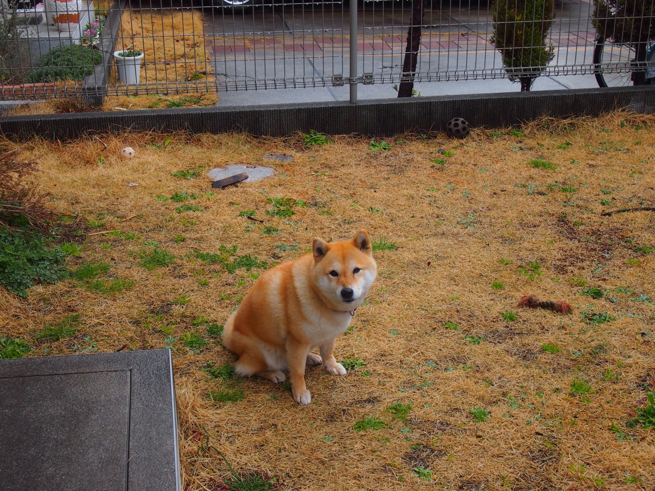 巴拉多利德取得胜利,豪取联赛第二位,巴拉多利德保级