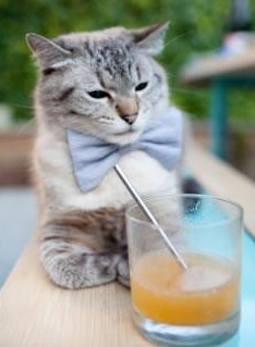 德赢体育app下载安装-替补球员上场时间是否被严重压缩，替补球员意义的重要性