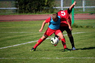 德赢官网登录入口官网网页-篮球运动员训练负荷监控系统开发与应用研究，篮球运动员运动负荷量