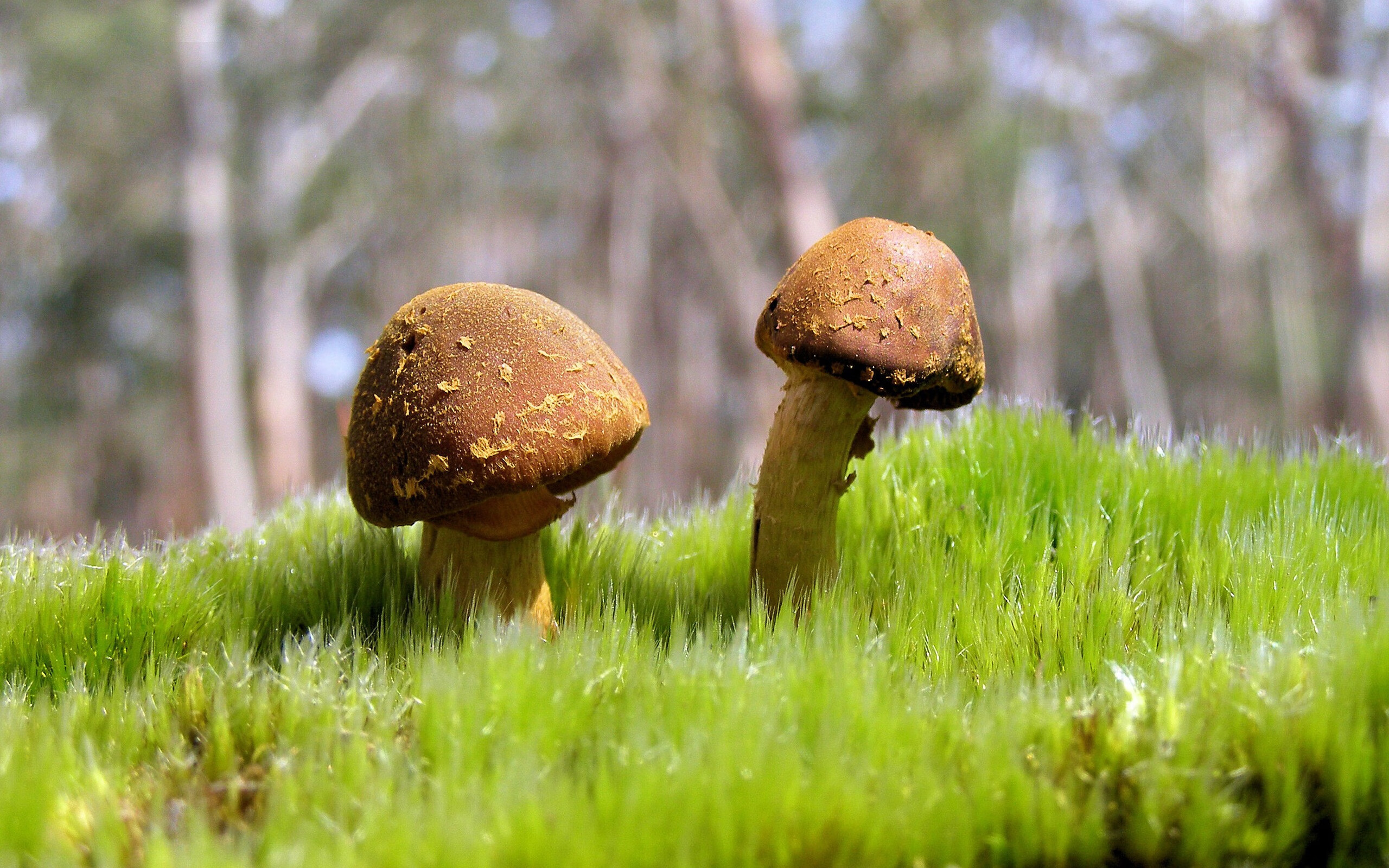 vwin在线登录电脑版-“武汉马拉松：纪录突破的时刻即将来临”