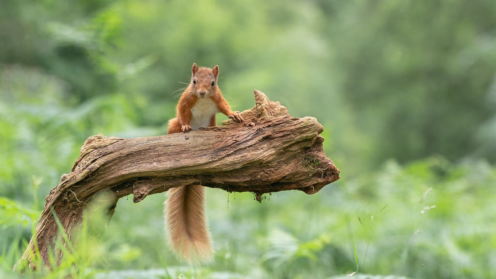 德赢体育app下载安装官方正版-国际热身赛中国女足惨败 球迷呼吁提升训练质量，国足热身赛2021
