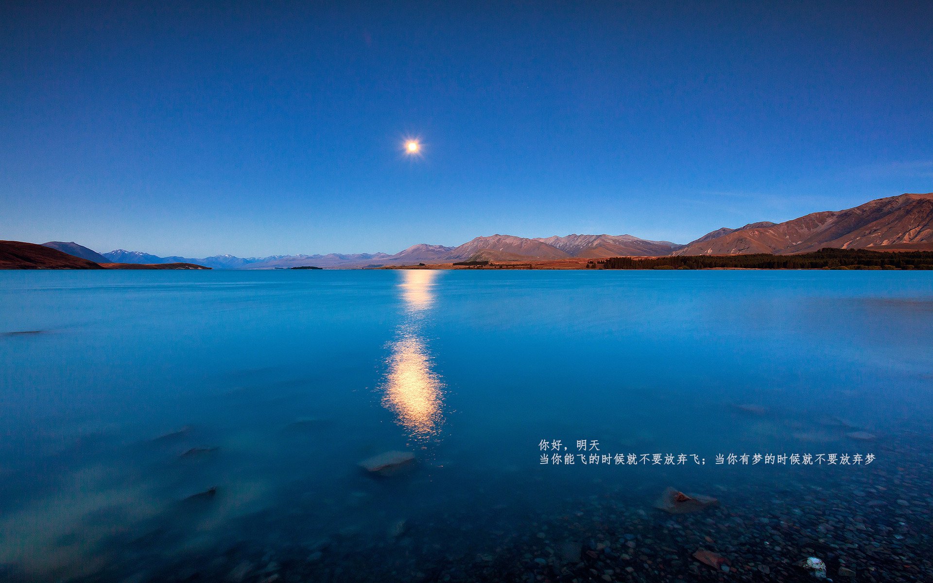 广东队保持联动防守形成压迫式包夹战术