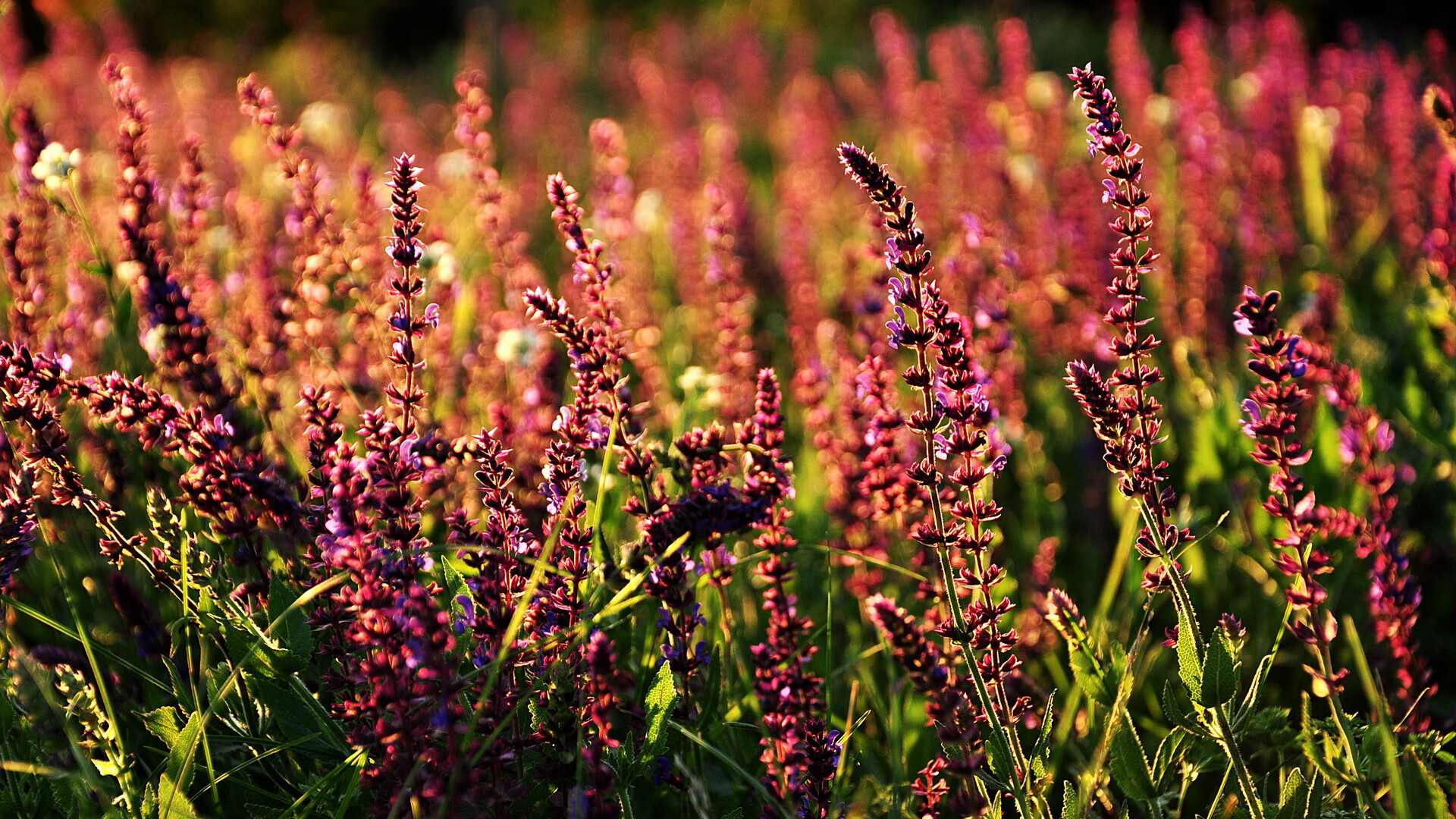 智能可穿戴设备为乒乓球运动员提供训练数据，乒乓球智能训练系统