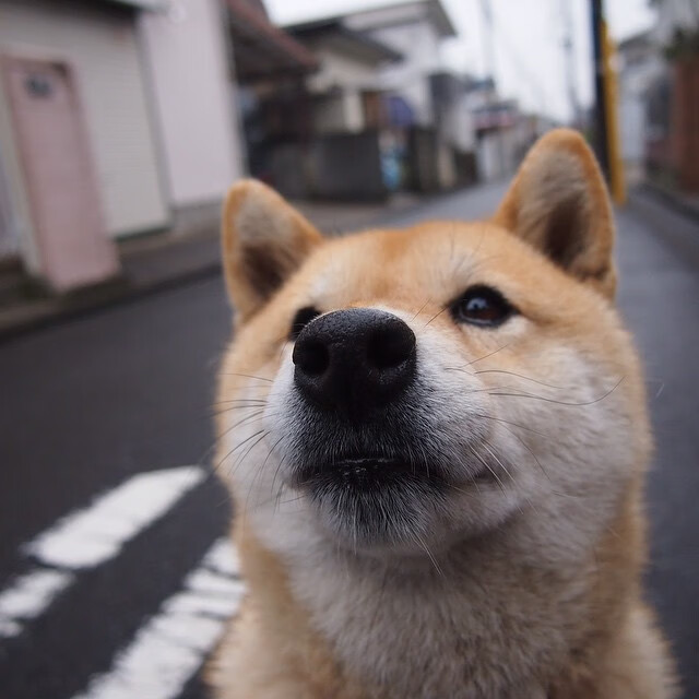 世界杯激情燃烧:战场上的奇迹!,世界杯激情歌曲