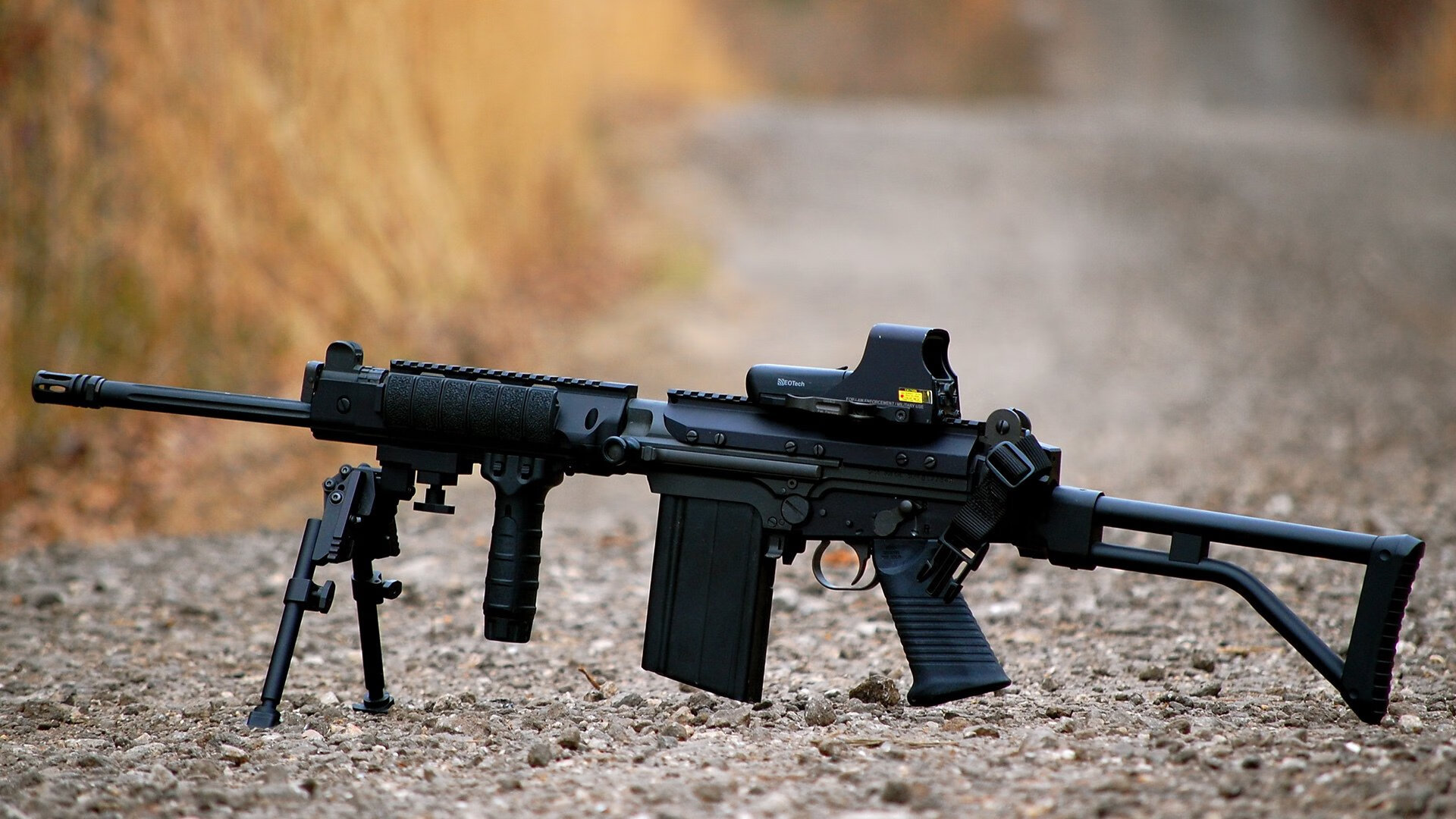 国王主帅专注培养年轻球员对比赛阅读能力，国王球队队员