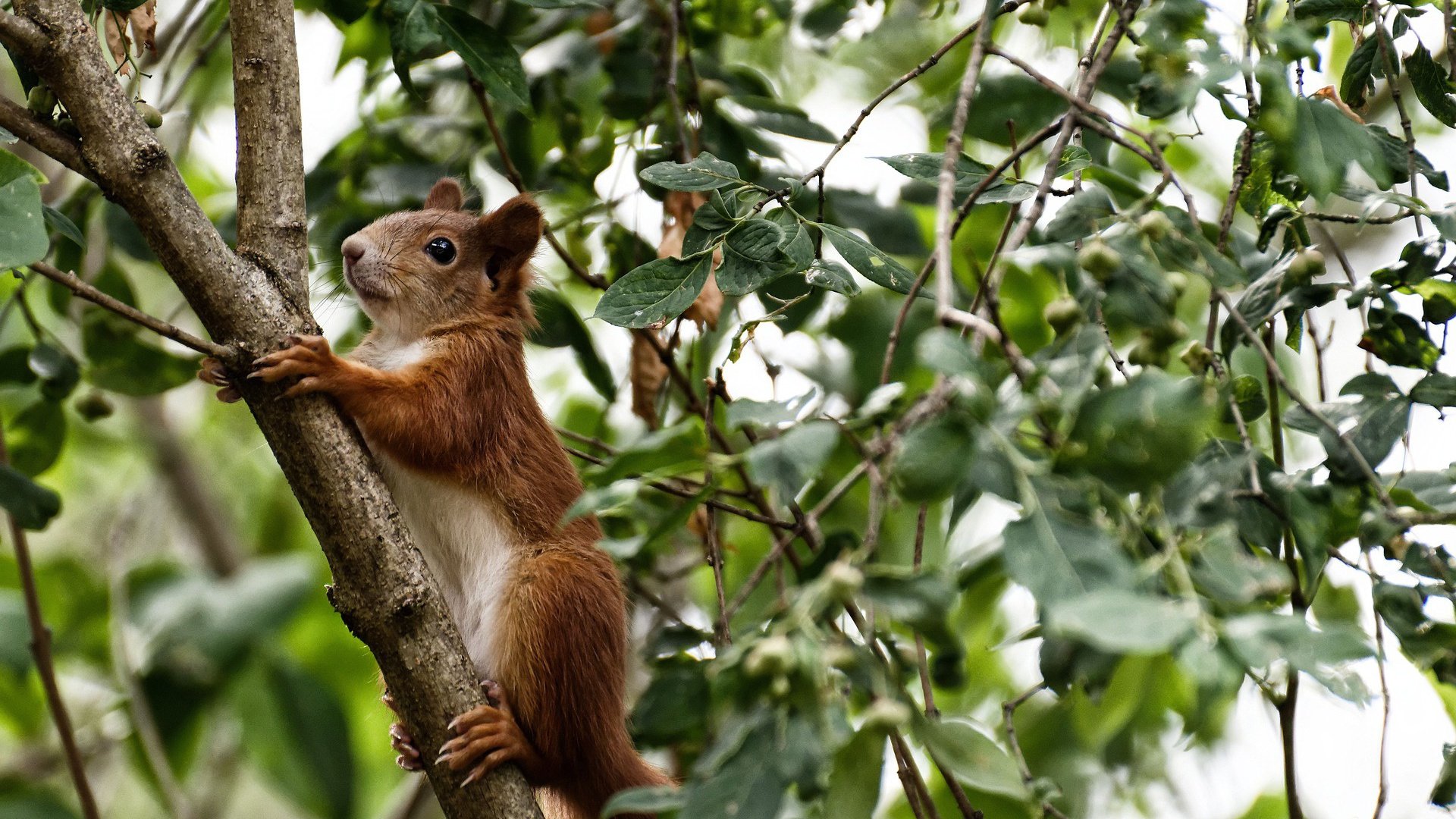 德赢体育app下载安装官方-场地条件影响技术发挥，场地条件影响技术发挥的原因