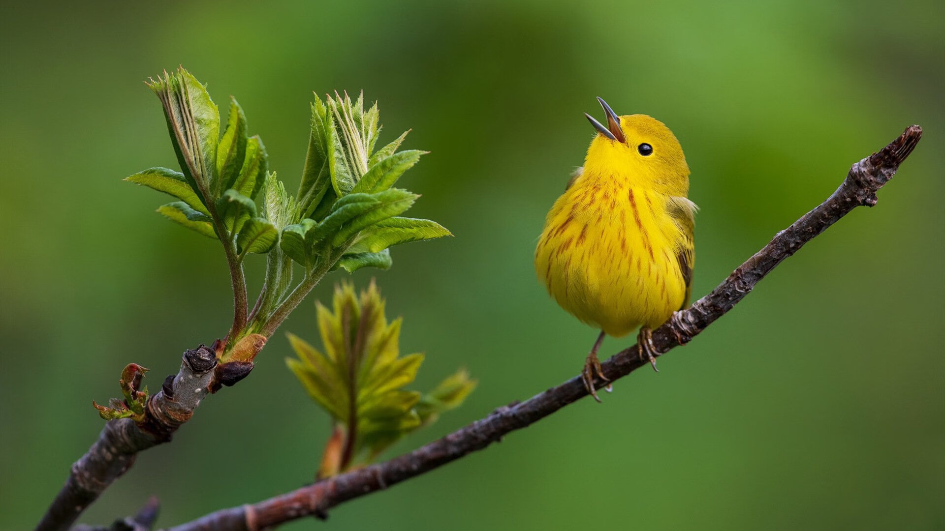 数字化裁判员培训体系全方位提升裁判执法水平,裁判员信息登记系统