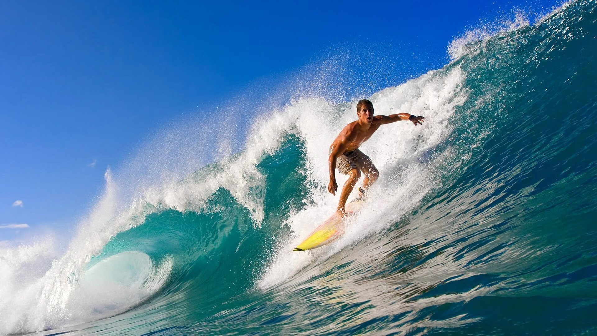 男子混合泳荷兰全能型选手引关注,男子混合泳破纪录夺金