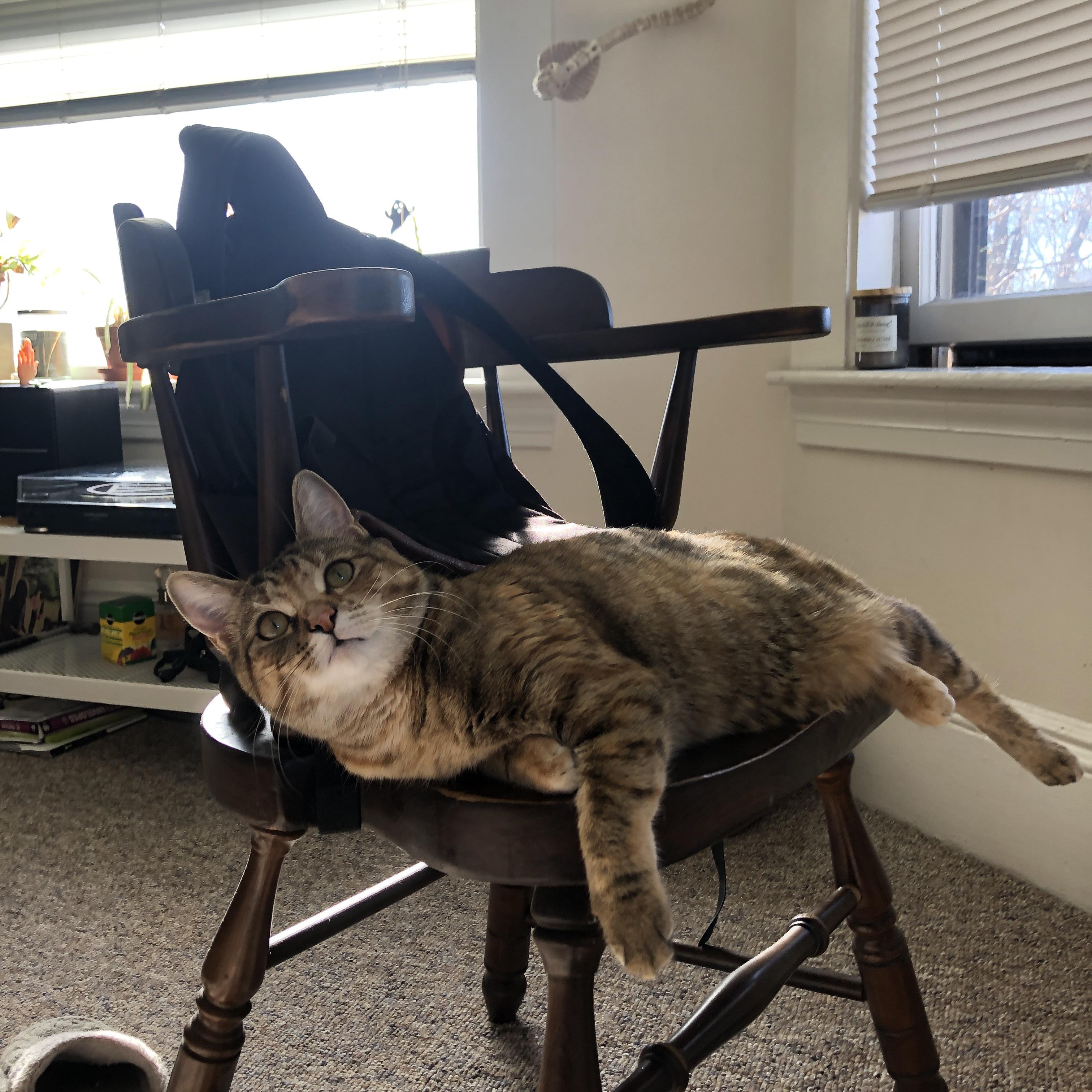 德赢体育手机登陆网址-英超历史上最经典的逆转战役，英超历年转会记录