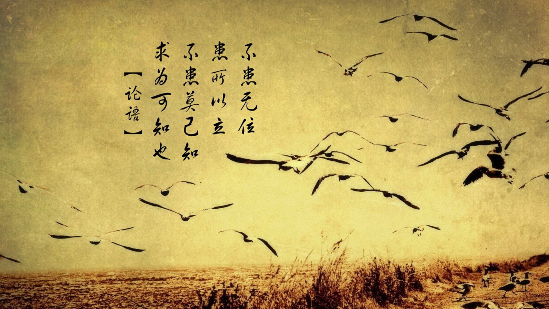 马拉维男篮在非洲锦标赛中持续突破,创造运动史新高,非洲 马拉维